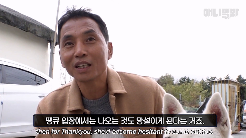 강아지가 매일 틈만나면 가출을 했던 이유...jpg | 인스티즈