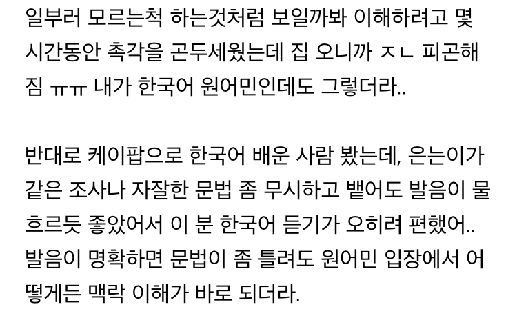 내가 원어민 입장(?) 되어 보니까 발음이 꽤나 중요하긴 한듯 | 인스티즈