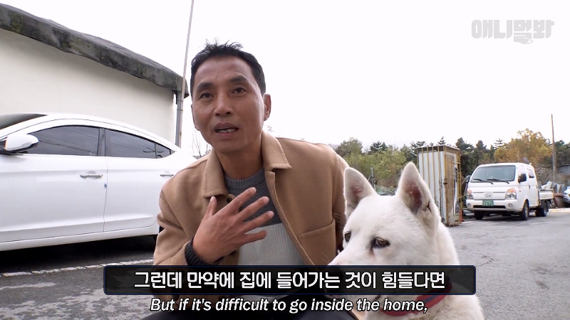 강아지가 매일 틈만나면 가출을 했던 이유...jpg | 인스티즈