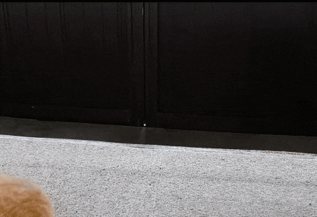 신기할 정도로 협조적인 누리네 식구들.gif | 인스티즈