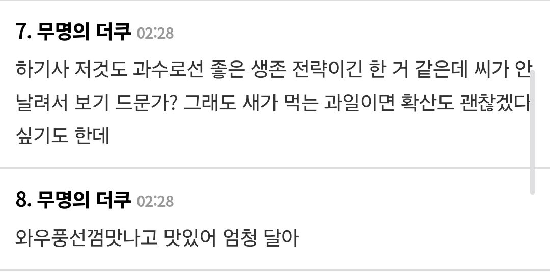 진짜 진짜 이상하게 생긴 브라질의 국민 과일 자보티카바 (약간 환공포증 주의❗️) | 인스티즈
