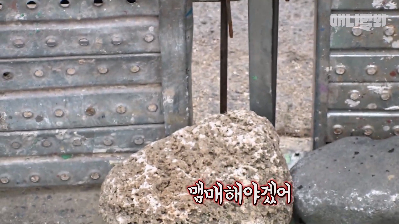 강아지가 매일 틈만나면 가출을 했던 이유...jpg | 인스티즈