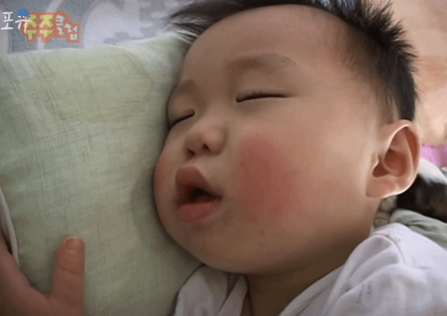 응도 찍는 카메라맨 은근 킹받는 달글ㅋㅋㅋㅋㅋ | 인스티즈