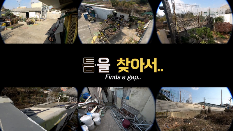 강아지가 매일 틈만나면 가출을 했던 이유...jpg | 인스티즈