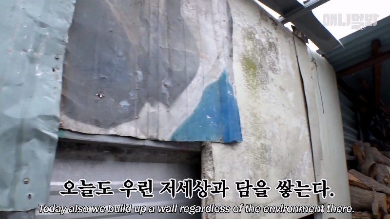 강아지가 매일 틈만나면 가출을 했던 이유...jpg | 인스티즈
