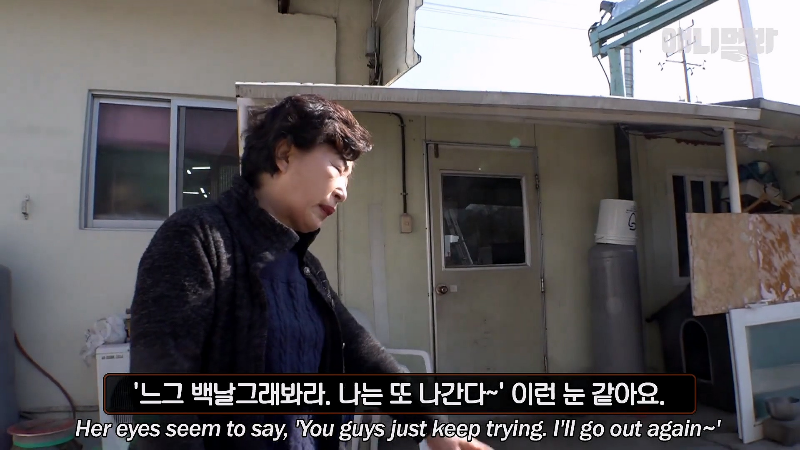 강아지가 매일 틈만나면 가출을 했던 이유...jpg | 인스티즈