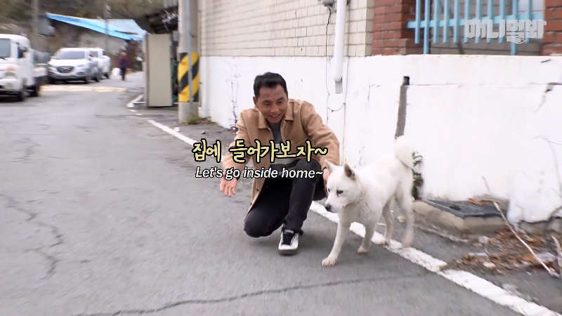 강아지가 매일 틈만나면 가출을 했던 이유...jpg | 인스티즈