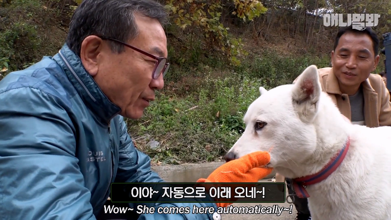 강아지가 매일 틈만나면 가출을 했던 이유...jpg | 인스티즈