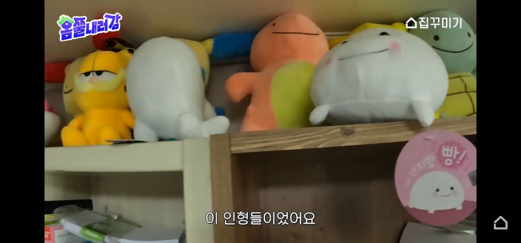 창고방 텐트안에서 사는 K-해리포터 수험생 집 꾸며주기 | 인스티즈