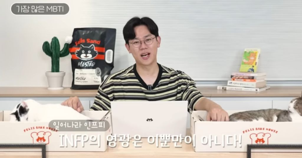 미야옹철 유툽에서 진행한 집사 MBTI 설문결과 | 인스티즈