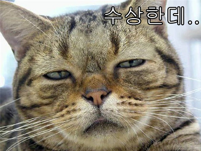 본인 의지와 다르게 흘러간 것 같은 알찬 가수 태양의 인생사 | 인스티즈