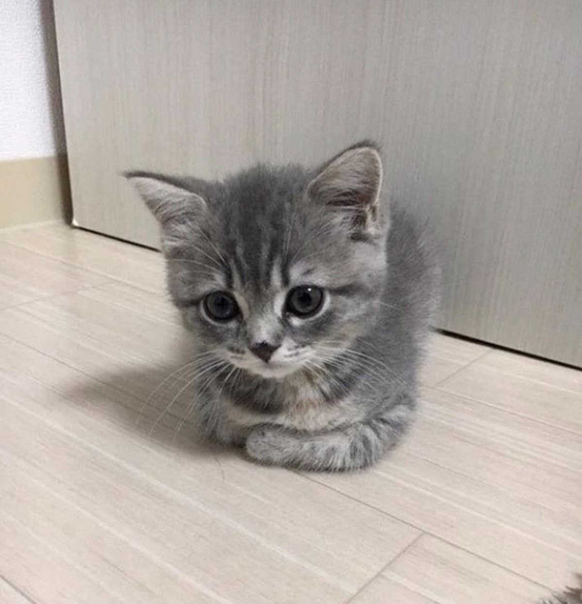  1년 사이 큰 변화....jpg