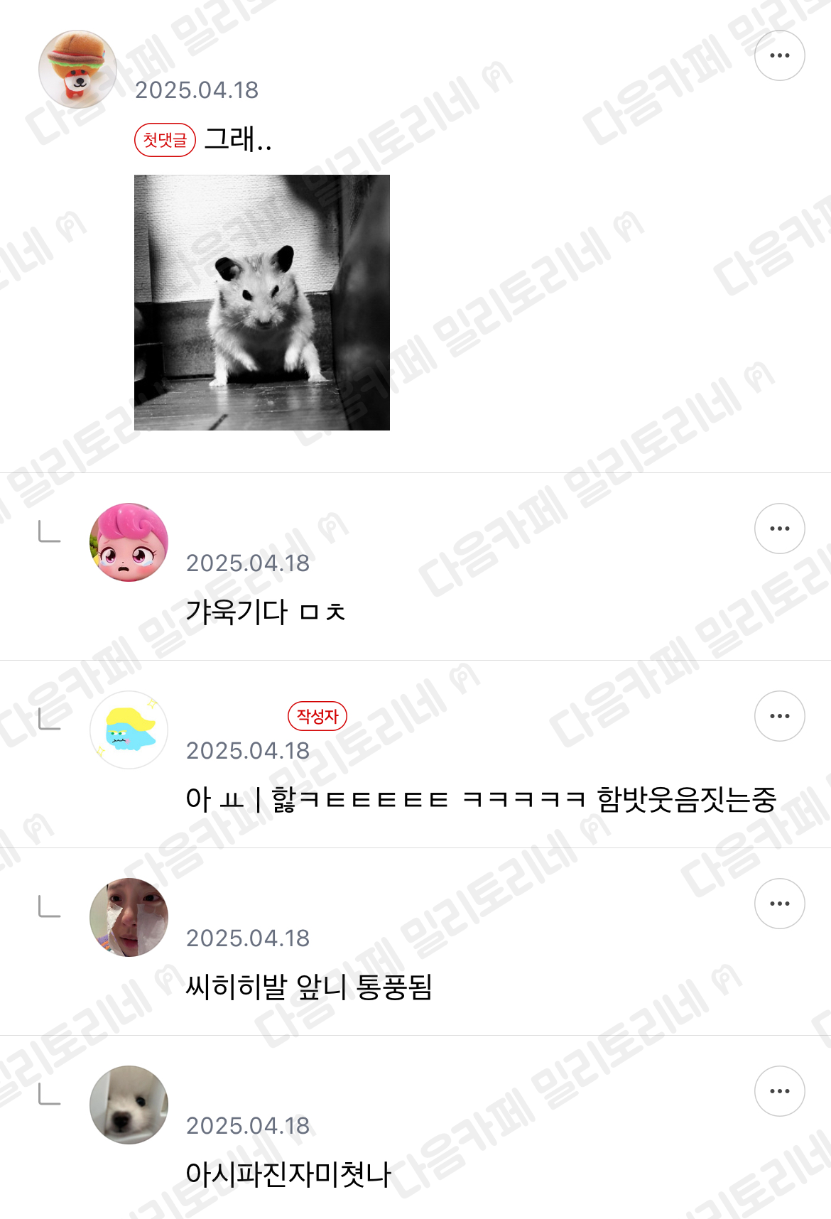 햄님 오셨음까 | 인스티즈