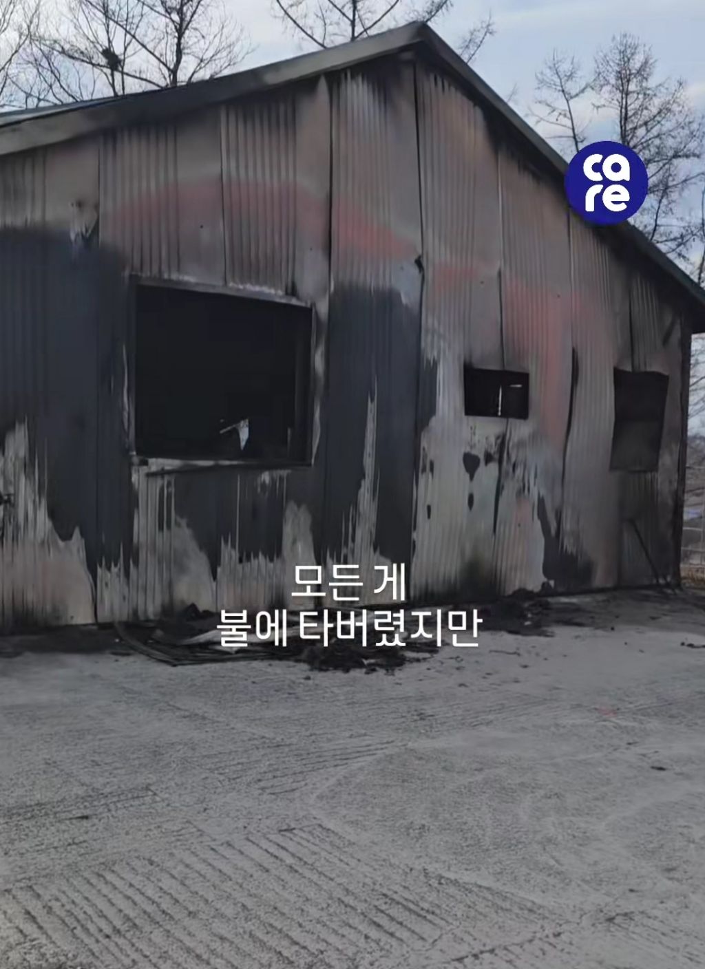 산불사태에 유일하게 버틴 강아지 집 | 인스티즈