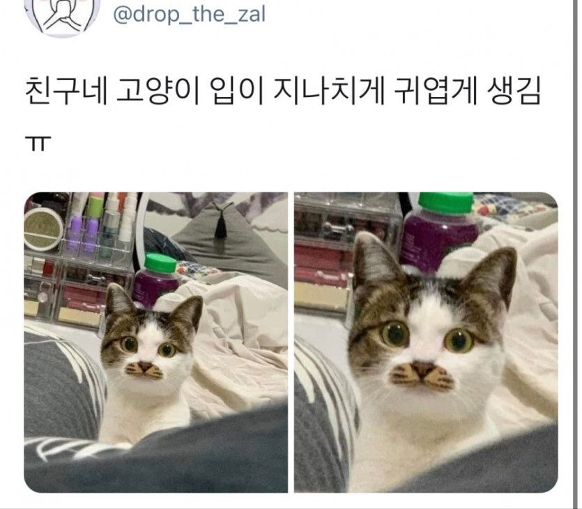  아무도 모르게 합법적인 돈 1000억이 생겼다. 가족, 기부금, 친인척, 친구에게 ..