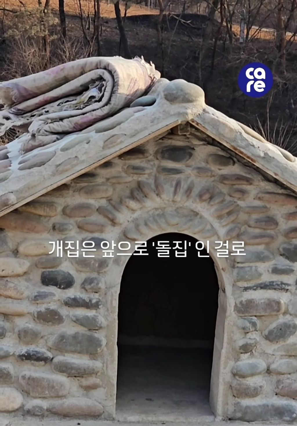 산불사태에 유일하게 버틴 강아지 집 | 인스티즈