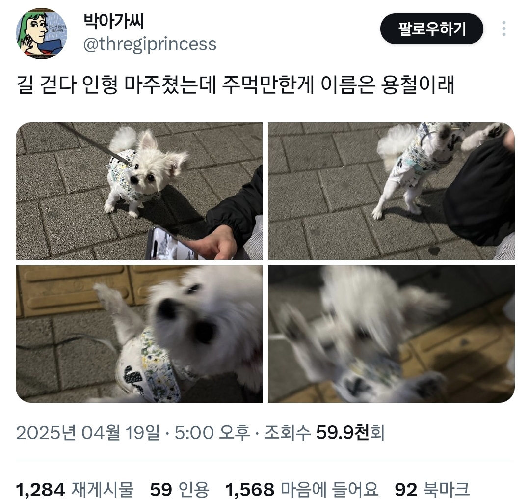  주먹만한 게 이름은 용철이래.twt