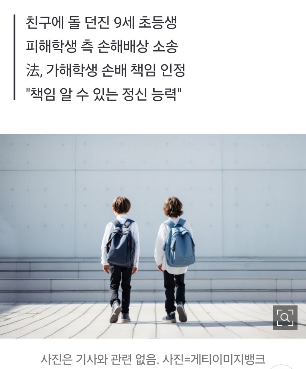  돌 던진 9세 초등생도 1800만원 배상…봐주지 않은 법원1