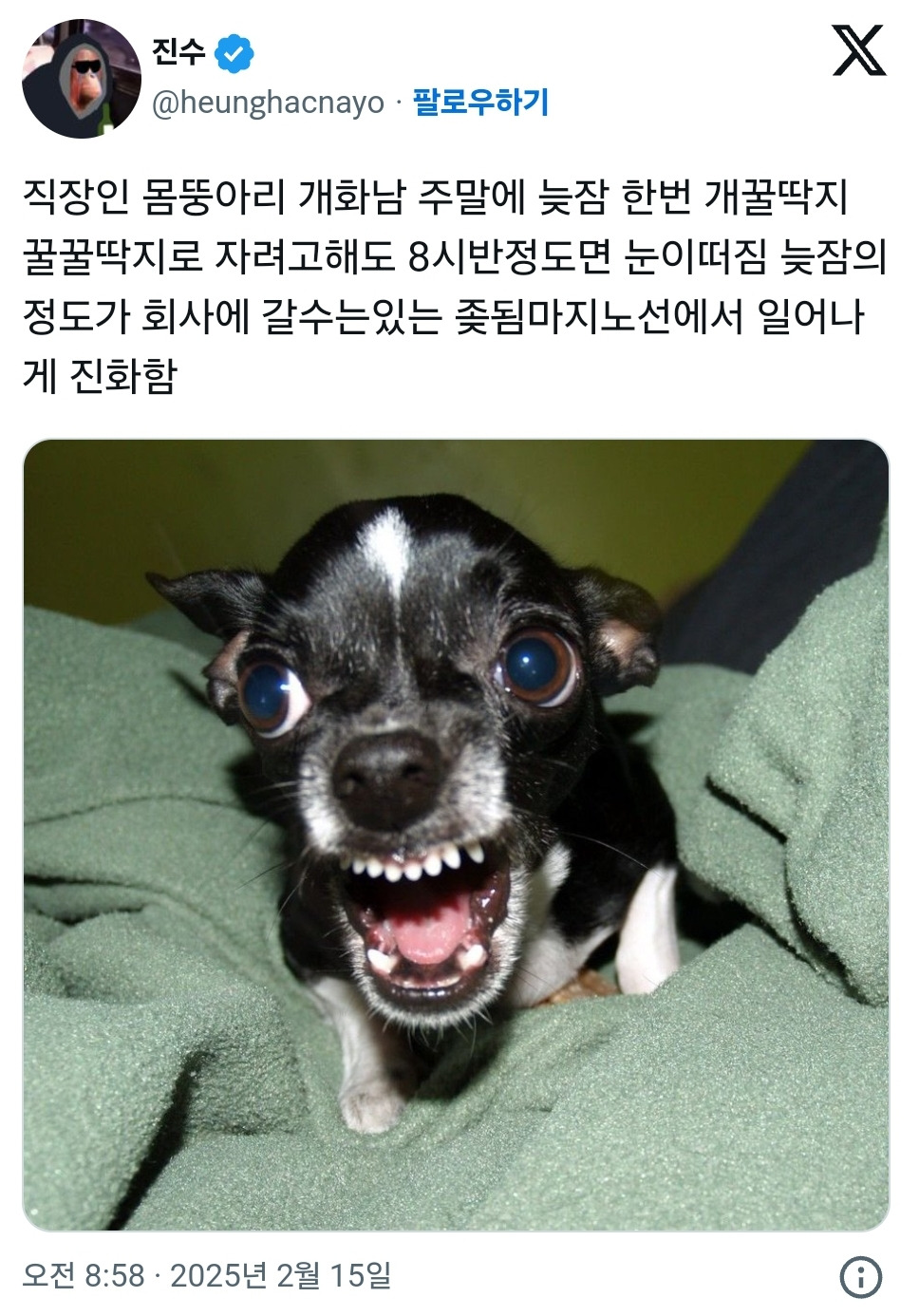  직장인 몸뚱아리 개화남.twt