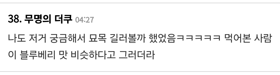 진짜 진짜 이상하게 생긴 브라질의 국민 과일 자보티카바 (약간 환공포증 주의❗️) | 인스티즈