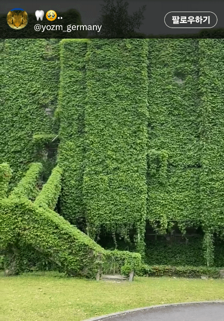 국립대만대학교의 멋진 계단🌿 .twt | 인스티즈