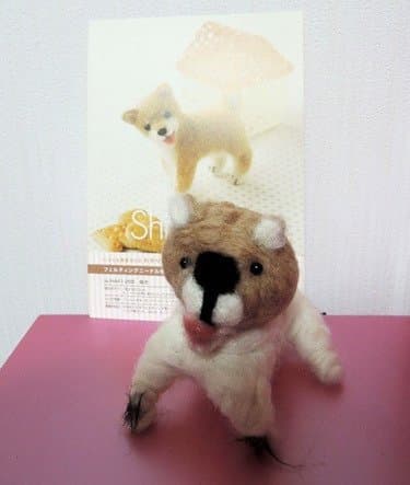 망한 동물 양모펠트 모음.jpg | 인스티즈