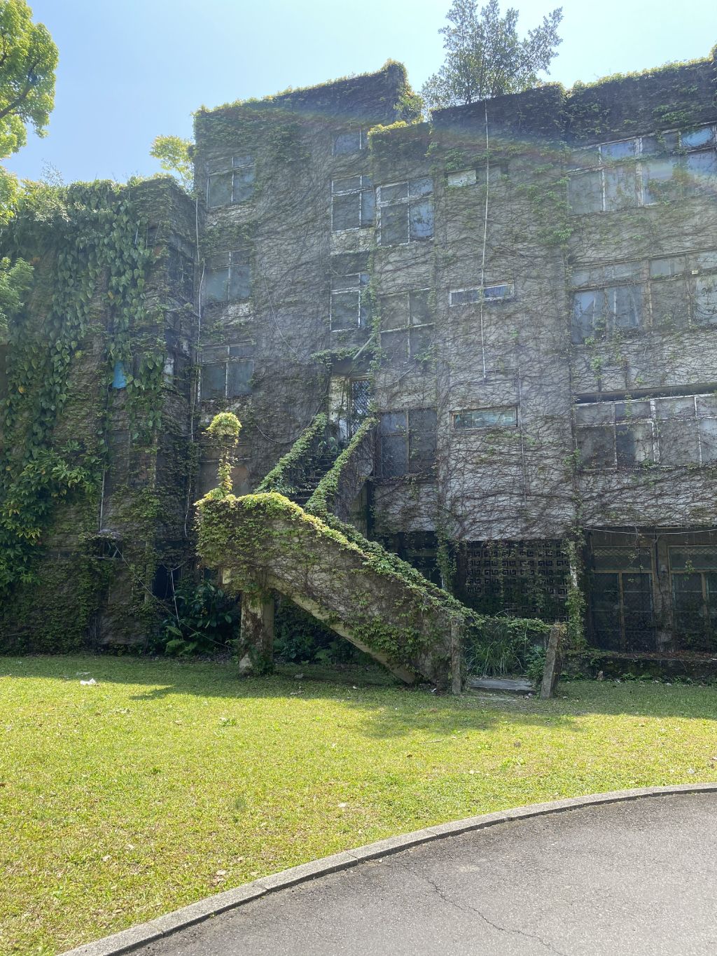 국립대만대학교의 멋진 계단🌿 .twt | 인스티즈