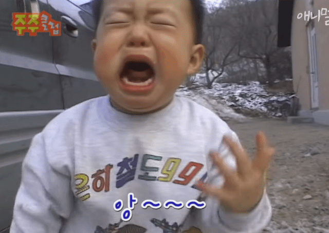 응도 찍는 카메라맨 은근 킹받는 달글ㅋㅋㅋㅋㅋ | 인스티즈