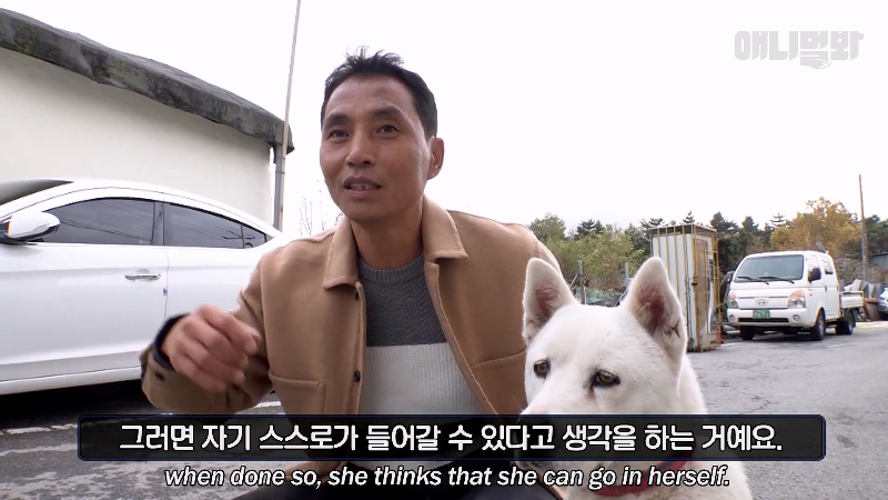 강아지가 매일 틈만나면 가출을 했던 이유...jpg | 인스티즈