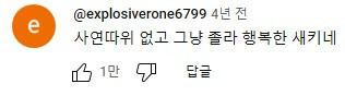 강아지가 매일 틈만나면 가출을 했던 이유...jpg | 인스티즈