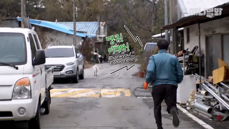 강아지가 매일 틈만나면 가출을 했던 이유...jpg | 인스티즈