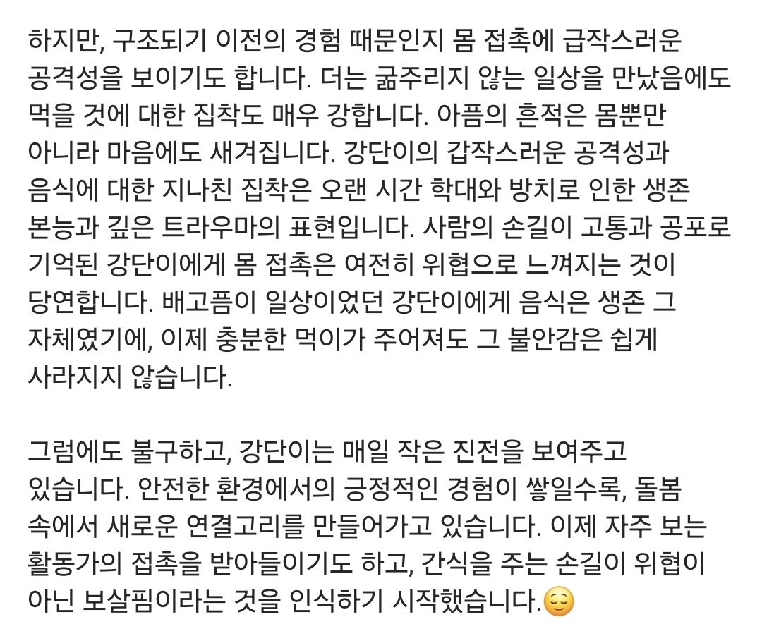 견주에게 수없이 매질로 폭행 당했던 17살 노견 강단이 근황 | 인스티즈