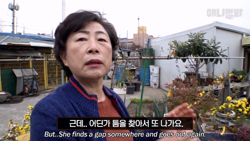 강아지가 매일 틈만나면 가출을 했던 이유...jpg | 인스티즈