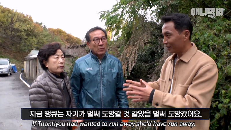 강아지가 매일 틈만나면 가출을 했던 이유...jpg | 인스티즈