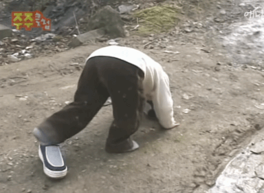 응도 찍는 카메라맨 은근 킹받는 달글ㅋㅋㅋㅋㅋ | 인스티즈
