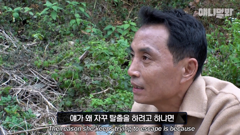 강아지가 매일 틈만나면 가출을 했던 이유...jpg | 인스티즈