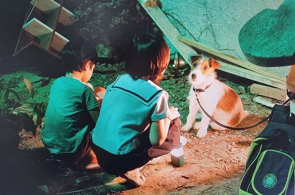  영화 개를 훔치는 완벽한 방법