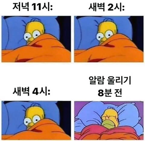  불면증 특징