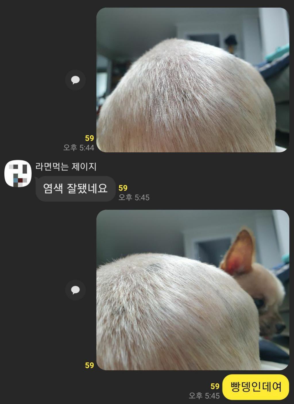  염색 잘됐네요