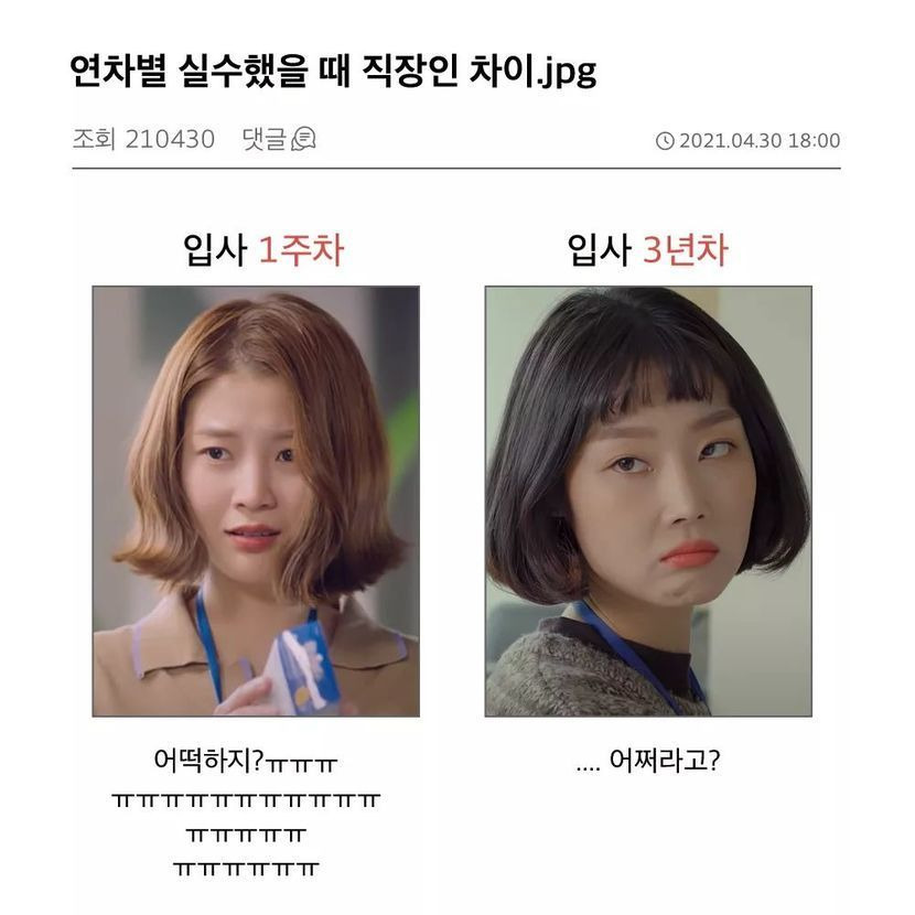  직장인 차이