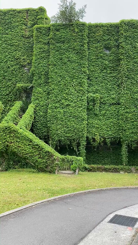 국립대만대학교의 멋진 계단🌿 .twt | 인스티즈