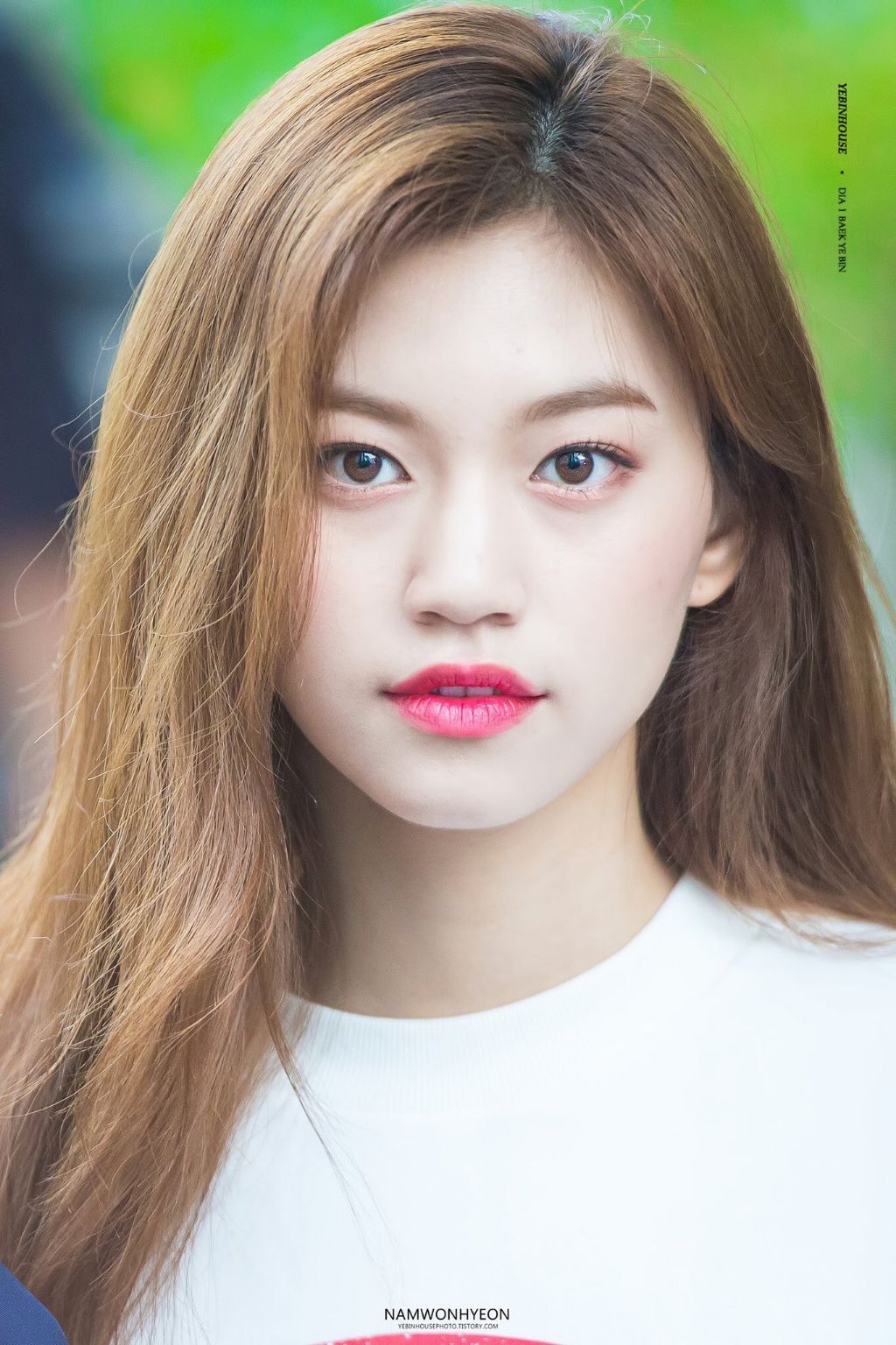  아이오아이 버뮤다 라인