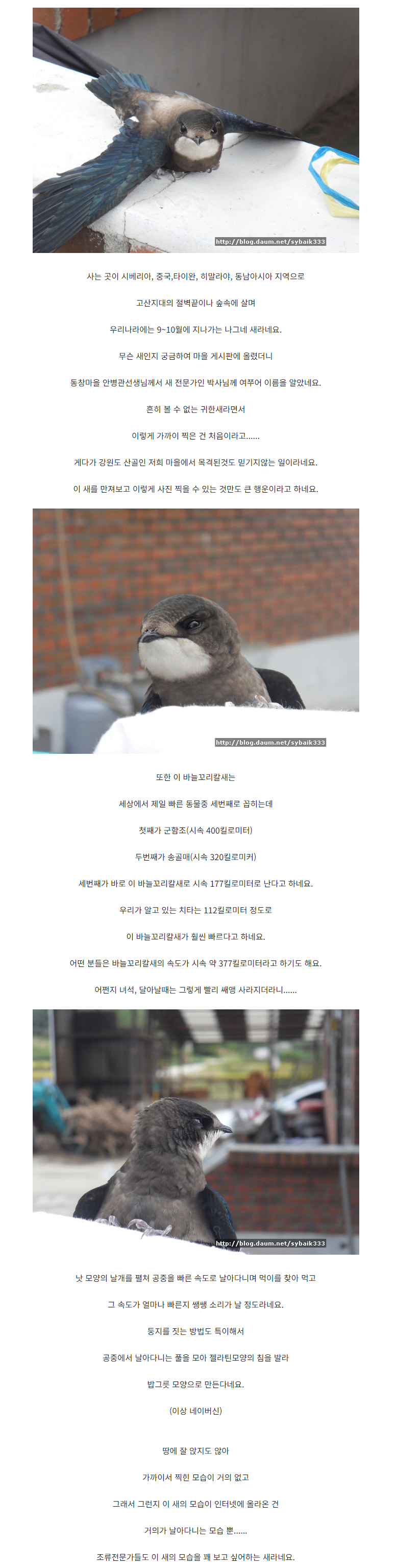 추석 달 찍다가 신기한 거 본 디씨인.jpg | 인스티즈