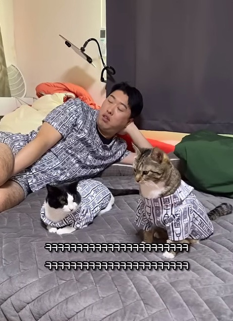  춘봉첨지(고양이) 코스프레 모음
