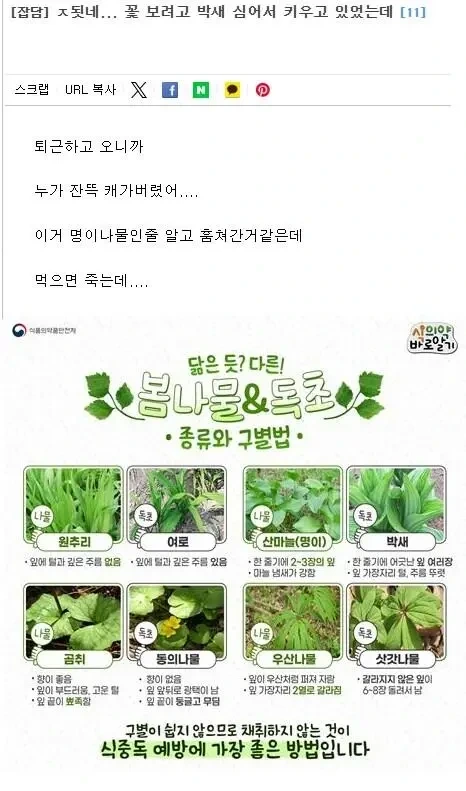  요즘 심각하다는 시골 농산물 도둑 근황 jpg