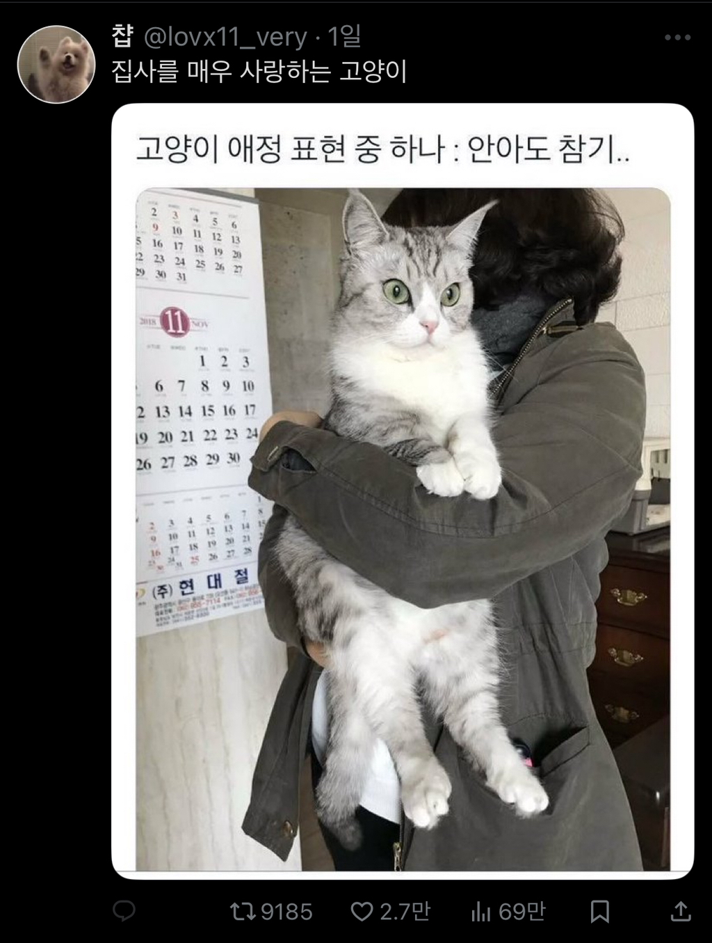  고양이의 애정표현 중 하나