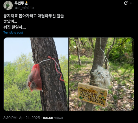둥지재료 뽑아가라고 매달아두신 털들.. 좋았어... | 인스티즈