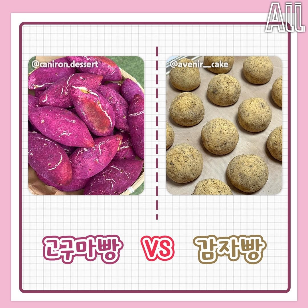 고구마 vs 감자 취향 고르기 | 인스티즈