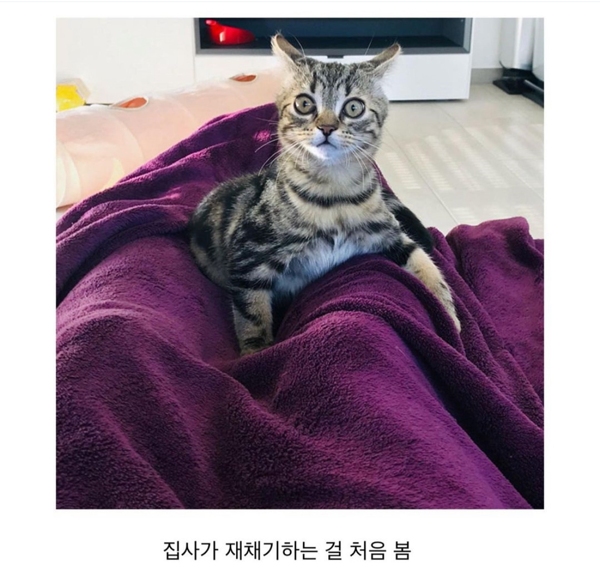 동물들이 처음 경험하는 순간들.jpg | 인스티즈