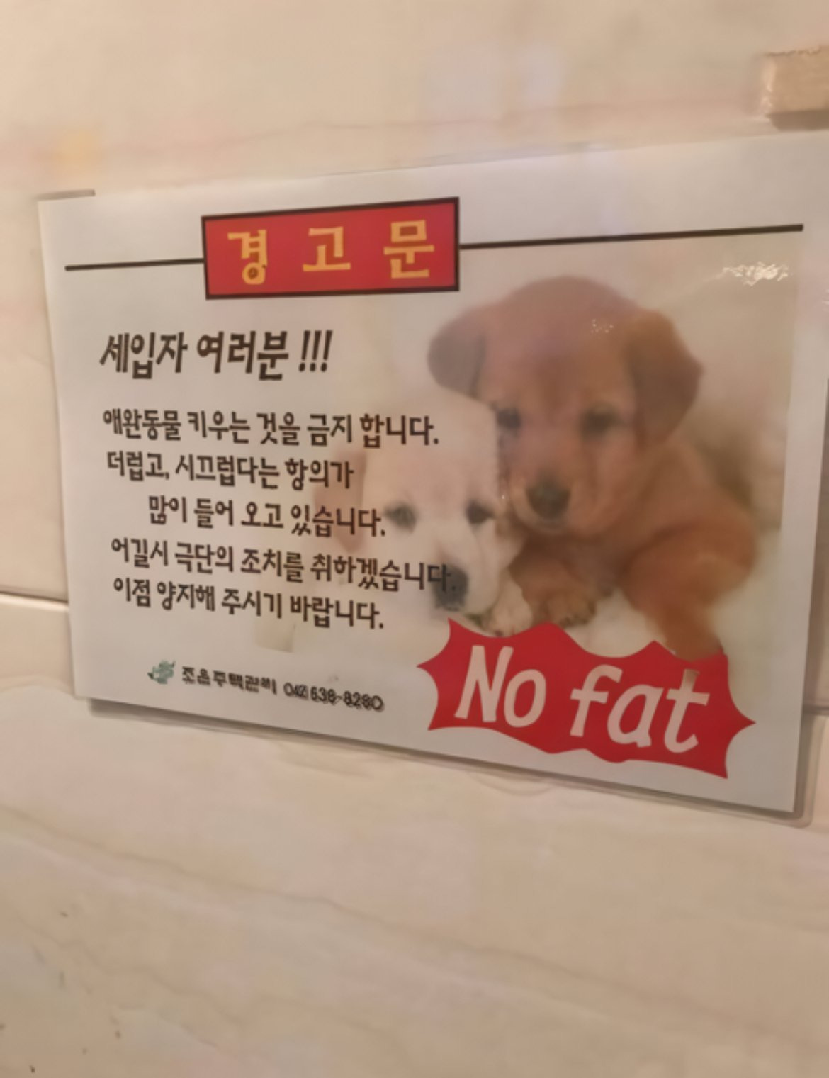 갑자기 비만 공격.jpg